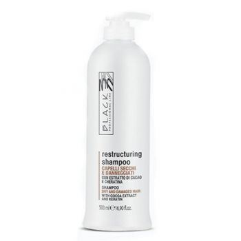 Sampon Pentru Par Uscat si Deteriorat - Black Professional Line Restructuring Shampoo, 500ml