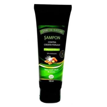 Sampon Contra Caderii Parului cu Argan si Nuca Manicos, 100ml