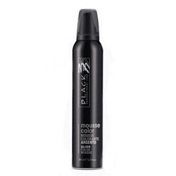 Spuma Coloranta - Black Professional Line Mousse Color Protective Colouring Mousse Silver, 200ml