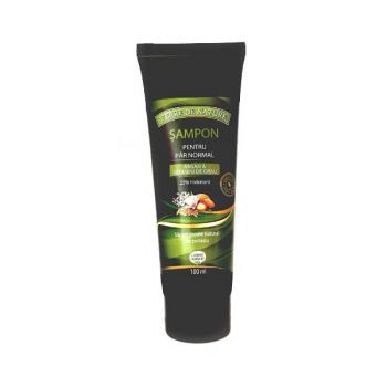 Sampon pentru Par Normal cu Argan si Germeni de Grau Manicos, 100ml