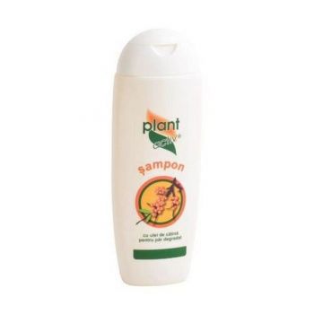 Sampon cu Catina pentru Par Degradat Plant Activ, 200 ml