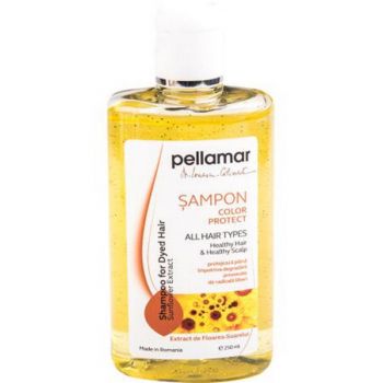 Sampon pentru Par Vopsit cu Extract de Floarea Soarelui Pellamar, 250 ml