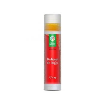 Balsam de Buze cu Catina Santo Raphael, 4,5 g