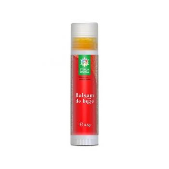 Balsam de Buze cu Catina Santo Raphael, 4,5 g