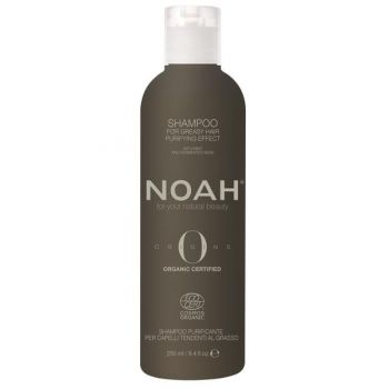 Sampon Bio Purificator cu Ulei Esential de Menta pentru Par si Scalp Gras - Noah, 250 ml