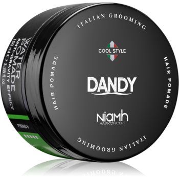 DANDY Water Pomade Anti-Gravity Effect pomadă de păr fixare puternică ieftin