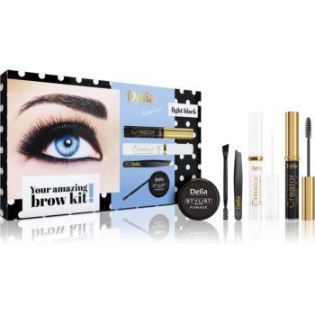 Delia Cosmetics Eyebrow Expert Light Black set cadou pentru sprâncene