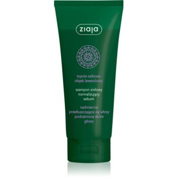 Ziaja Herbal șampon pentru păr gras