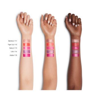 Shiseido ColorGel LipBalm balsam de buze tonifiant cu efect de hidratare