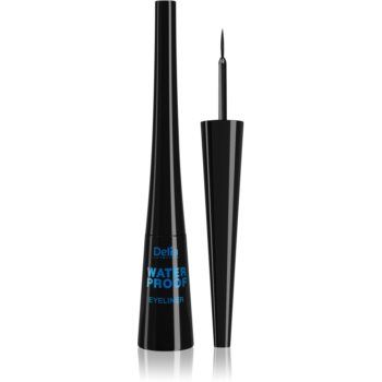 Delia Cosmetics Shape Master eyeliner