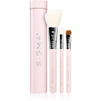 Sigma Beauty Essential set de pensule cu husă