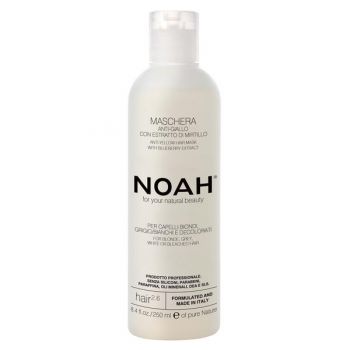 Masca Naturala Anti-Yellow cu Extract de Afine 2.6 Noah, 250 ml de firma originala