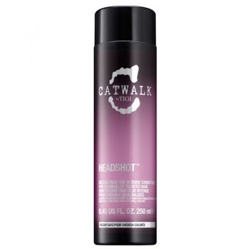 Balsam pentru Par Deteriorat - TIGI Catwalk Headshot Conditioner 250 ml la reducere