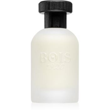 Bois 1920 Real Patchouly Eau de Parfum unisex