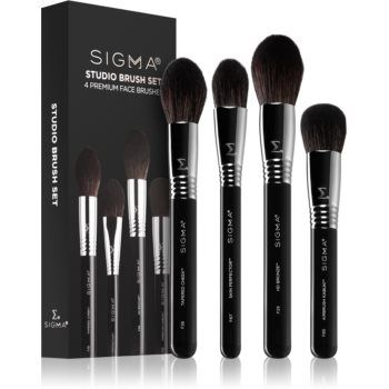 Sigma Beauty Brush Set Studio set perii machiaj