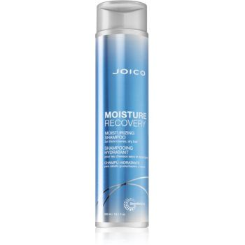 Joico Moisture Recovery sampon hidratant pentru par uscat