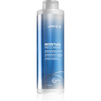 Joico Moisture Recovery sampon hidratant pentru par uscat