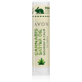 Avon Cannabis Sativa Oil Nourish & Calm balsam de buze cu ulei de canepa de firma original