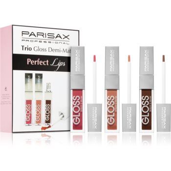 Parisax Perfect Lips Trio set cu luciu de buze Demi-Mat