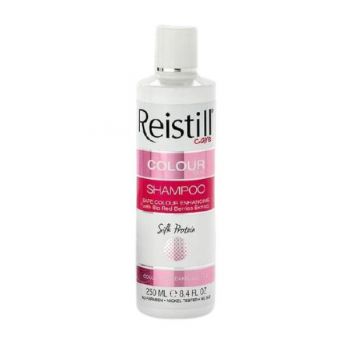 Șampon pentru menținerea culorii Reistill, 250ml
