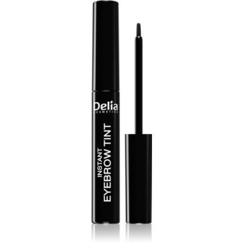 Delia Cosmetics Eyebrow Expert culoare pentru sprancene