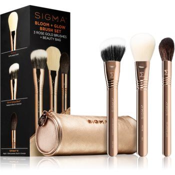 Sigma Beauty Brush Set Bloom + Glow set de pensule cu husă