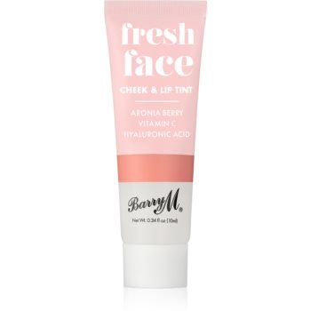 Barry M Fresh Face blush lichid și luciu de buze