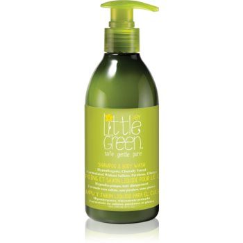 Little Green Baby gel de dus si sampon 2in1 pentru nou-nascuti si copii