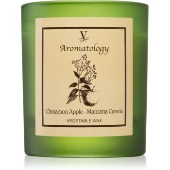 Vila Hermanos Aromatology Cinnamon and Apple lumânare parfumată