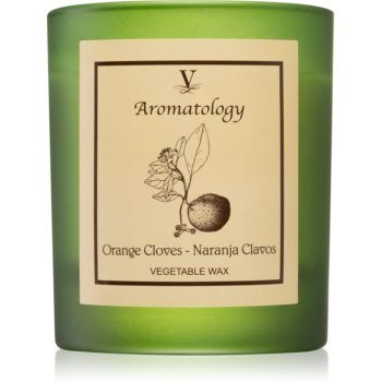 Vila Hermanos Aromatology Orange Cloves lumânare parfumată