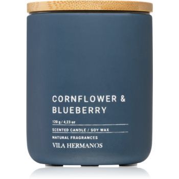 Vila Hermanos Concrete Cornflower & Blueberry lumânare parfumată