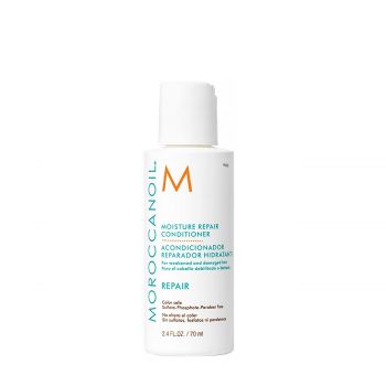 Hair moisture repair conditioner 70 ml
