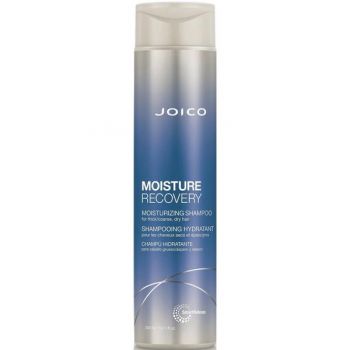 Sampon Hidratant - Joico Moisture Recovery Shampoo 300 ml