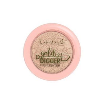 Pudră de față iluminatoare Lovely Highlighter Gold Digger, 5g