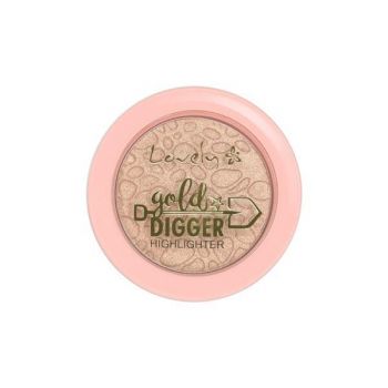 Pudră de față iluminatoare Lovely Highlighter Gold Digger, 5g ieftin