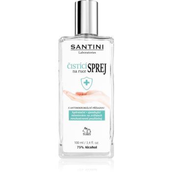 SANTINI Cosmetic Santini spray spray de curățare pentru mâini cu aditiv antimicrobian