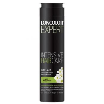 Balsam pentru Par Uscat sau Deteriorat cu Ulei Abyssinian Loncolor Expert Intensive Hair Care, 500 ml ieftin