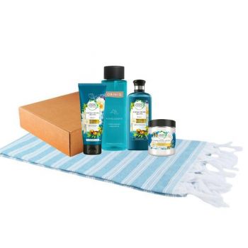 Pachet cadou „The Bleu Saraylı Alpine„ cosmetice pentru par si corp ( Sampon 250ml + Balsam 200ml + Masca par 250ml + Spuma 500ml + Prosop )