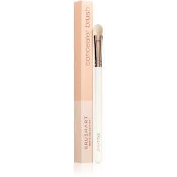 BrushArt Basic Concealer brush pensula pentru corector