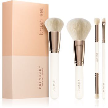 BrushArt Basic Brush set set perii machiaj