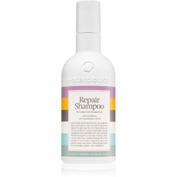 Waterclouds Repair Shampoo șampon de îngrijire delicată