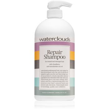Waterclouds Repair Shampoo șampon de îngrijire delicată