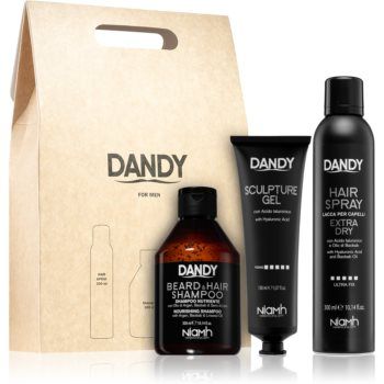 DANDY Styling gift set set cadou pentru bărbați