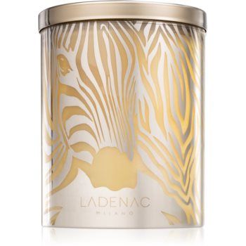 Ladenac Africa Zebra Camouflage lumânare parfumată