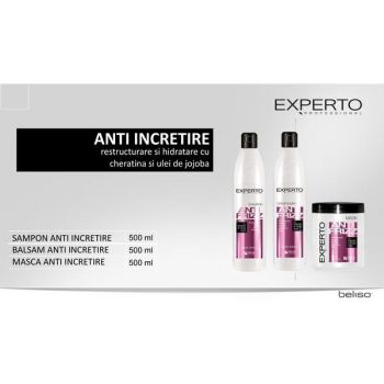 Set cadou prevenirea incretirii parulu ANTI FRIZZ Experto Professional 3x500ml cod.4108/4107/4106