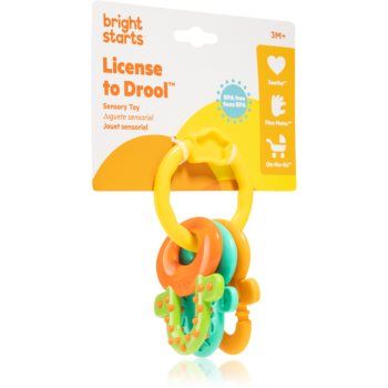 Bright Starts Teether & Rattle jucărie zornăitoare pentru dentiție
