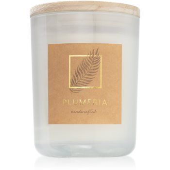 DW Home Plumeria lumânare parfumată