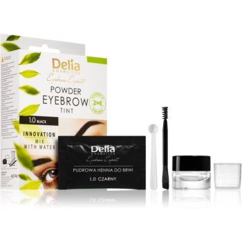 Delia Cosmetics Eyebrow Expert vopsea de sprancene