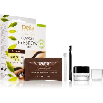 Delia Cosmetics Eyebrow Expert vopsea de sprancene