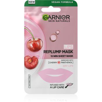 Garnier Skin Naturals Lips Replump Mask masca anti-riduri de buze